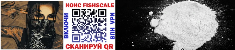 COCAIN Эквадор  Купить закладки  Гороховец 