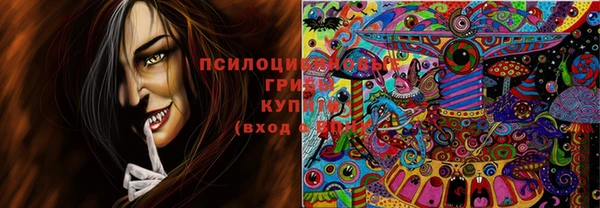 прущая мука Осинники