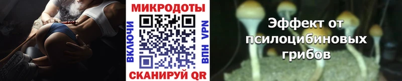 Псилоцибиновые грибы Cubensis  Купить  Гороховец 